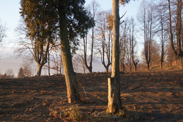 upamietnia-dawnych-mieszkancow-goduszyna-foto-50078