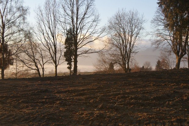 upamietnia-dawnych-mieszkancow-goduszyna-foto-50078