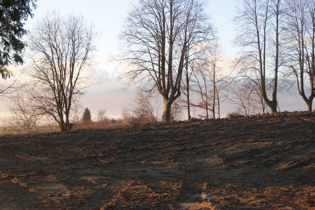 upamietnia-dawnych-mieszkancow-goduszyna-foto-50078