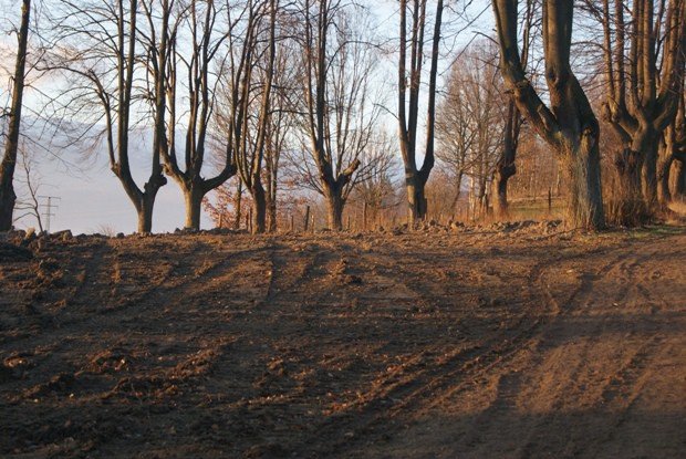 upamietnia-dawnych-mieszkancow-goduszyna-foto-50078