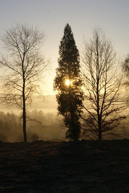 upamietnia-dawnych-mieszkancow-goduszyna-foto-50078