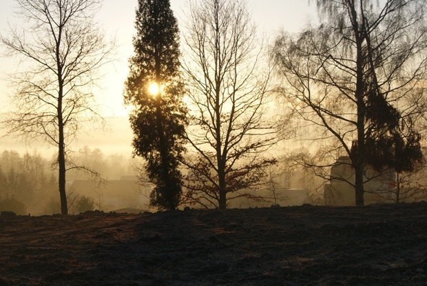 upamietnia-dawnych-mieszkancow-goduszyna-foto-50078