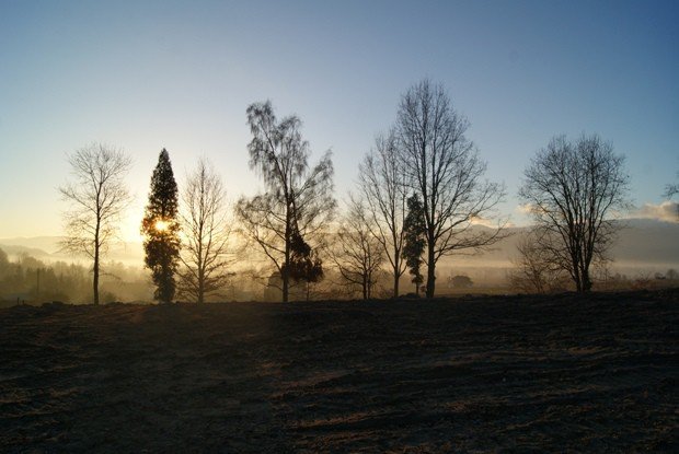 upamietnia-dawnych-mieszkancow-goduszyna-foto-50078