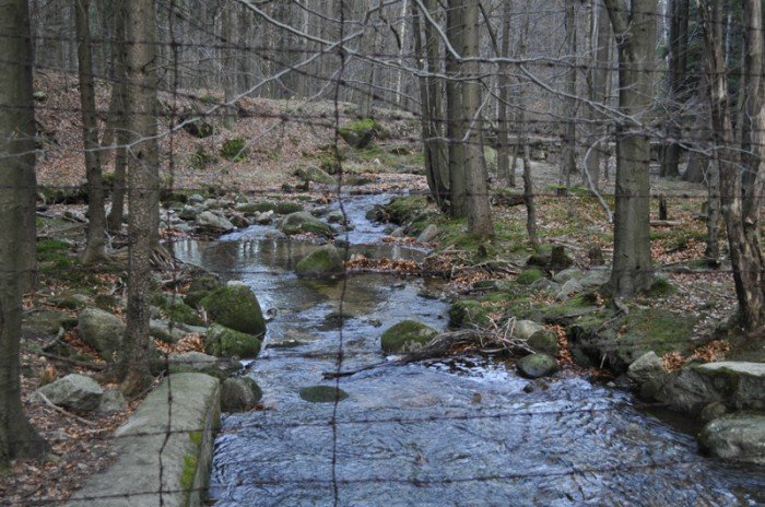 tajemnica-wisielczego-wzgorza-foto-50137