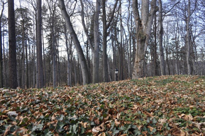 tajemnica-wisielczego-wzgorza-foto-50137