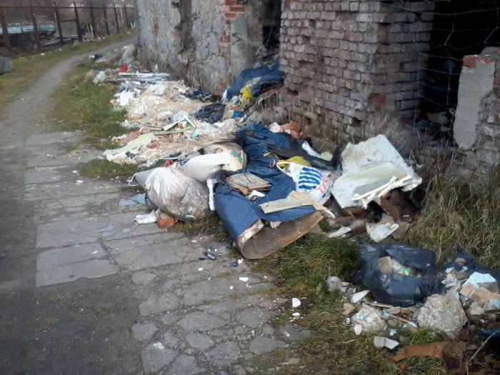 kto-to-wreszcie-posprzata-foto-50266