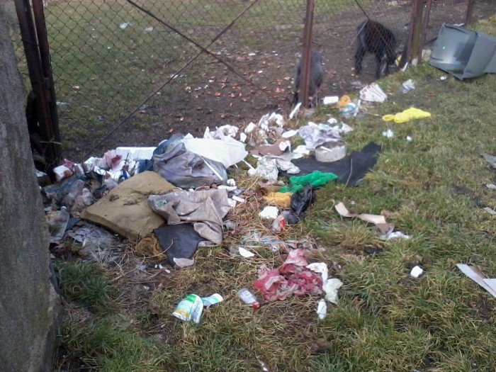kto-to-wreszcie-posprzata-foto-50266