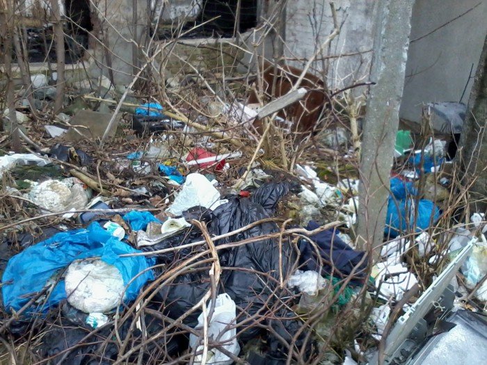 kto-to-wreszcie-posprzata-foto-50266