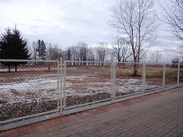 teren-po-basenie-w-sobieszowie-uporzadkowany-foto-50333
