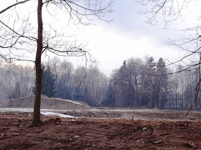 teren-po-basenie-w-sobieszowie-uporzadkowany-foto-50333