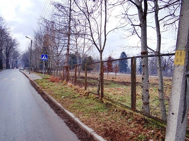teren-po-basenie-w-sobieszowie-uporzadkowany-foto-50333