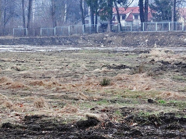 teren-po-basenie-w-sobieszowie-uporzadkowany-foto-50333