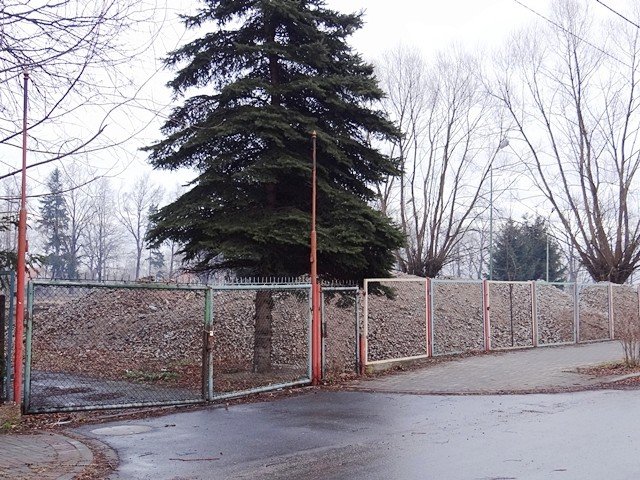 teren-po-basenie-w-sobieszowie-uporzadkowany-foto-50333