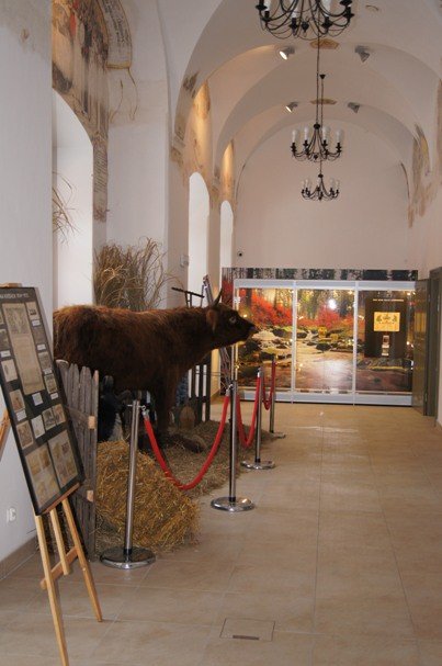 o-kresach-wschodnich-w-muzeum-przyrodniczym-foto-50380