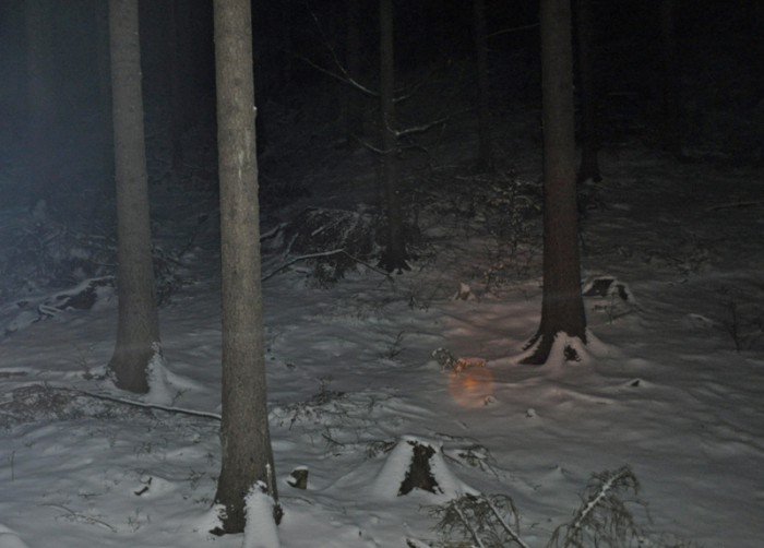 ludzie-sniegu-na-ulicach-foto-50431