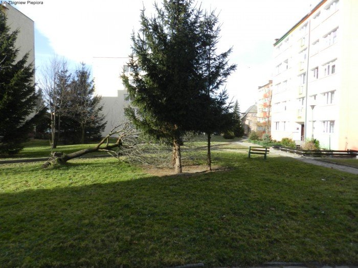 wichura-narobia-wiele-szkod-gownie-w-kowarach-foto-50550