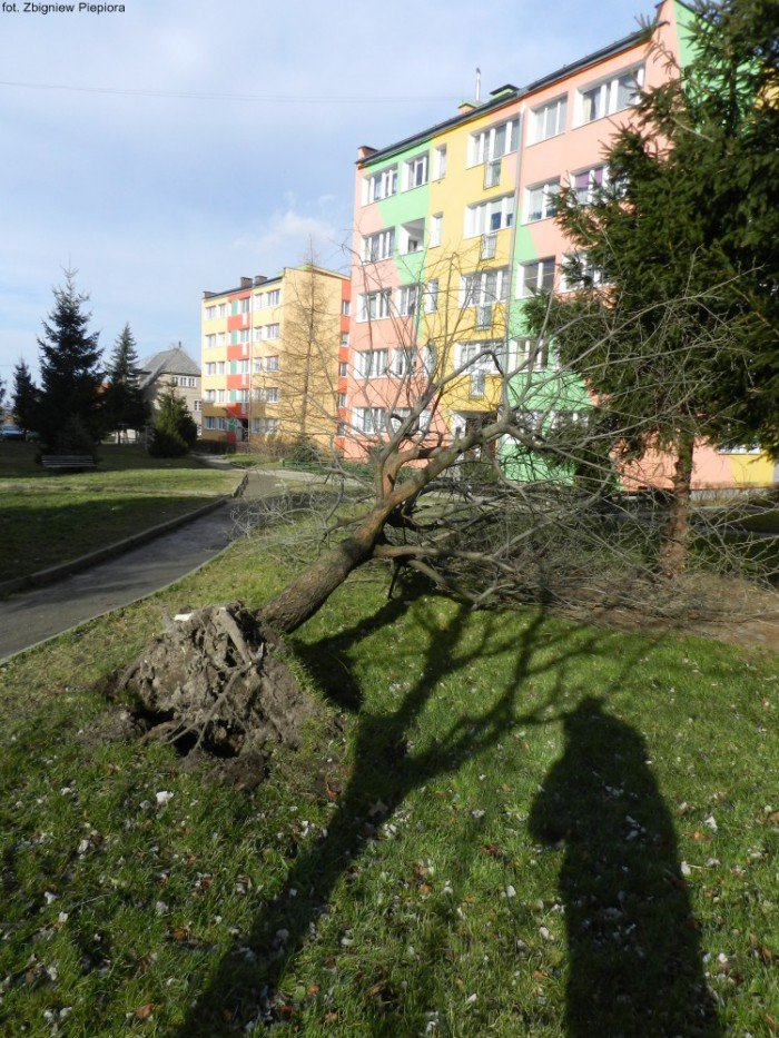 wichura-narobia-wiele-szkod-gownie-w-kowarach-foto-50550