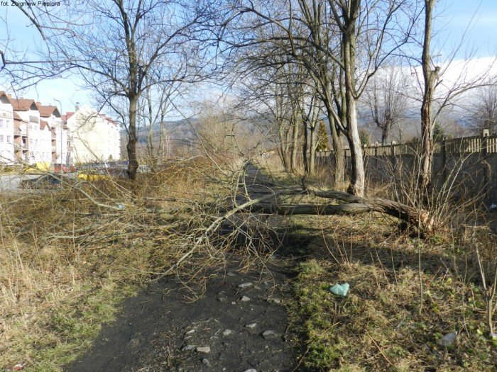 wichura-narobia-wiele-szkod-gownie-w-kowarach-foto-50550