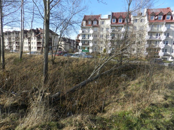 wichura-narobia-wiele-szkod-gownie-w-kowarach-foto-50550