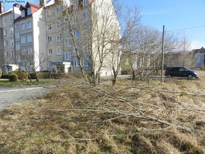 wichura-narobia-wiele-szkod-gownie-w-kowarach-foto-50550