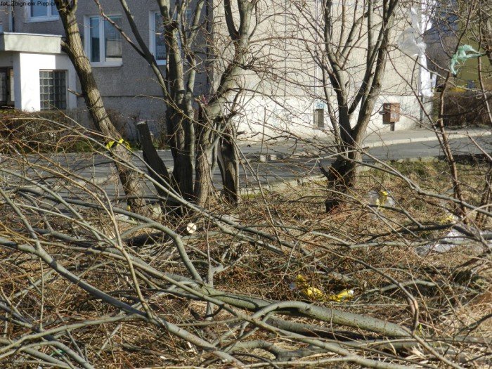 wichura-narobia-wiele-szkod-gownie-w-kowarach-foto-50550