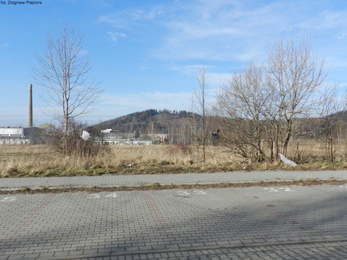 wichura-narobia-wiele-szkod-gownie-w-kowarach-foto-50550