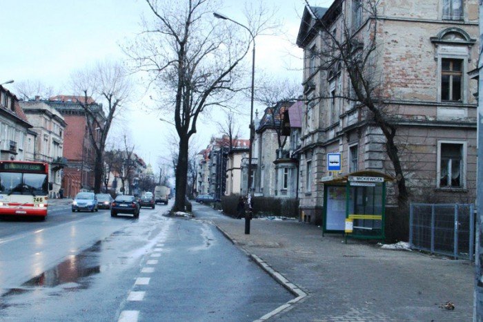 z-kaktusem-do-prezydenta-po-zmiany-na-alei-foto-50586