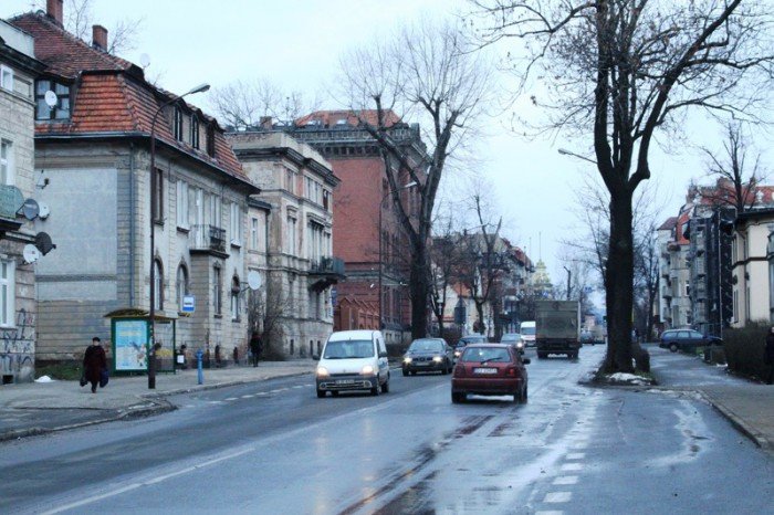 z-kaktusem-do-prezydenta-po-zmiany-na-alei-foto-50586
