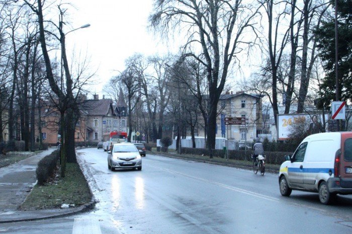 z-kaktusem-do-prezydenta-po-zmiany-na-alei-foto-50586