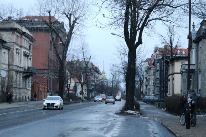 z-kaktusem-do-prezydenta-po-zmiany-na-alei-foto-50586