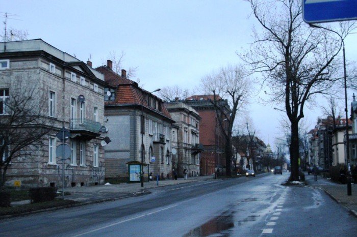 z-kaktusem-do-prezydenta-po-zmiany-na-alei-foto-50586