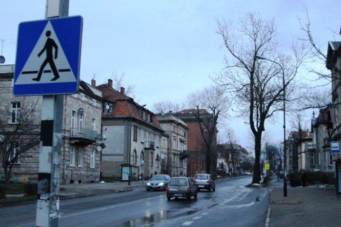z-kaktusem-do-prezydenta-po-zmiany-na-alei-foto-50586