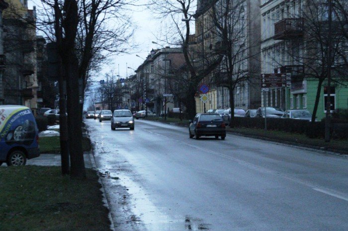 z-kaktusem-do-prezydenta-po-zmiany-na-alei-foto-50586