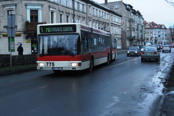 z-kaktusem-do-prezydenta-po-zmiany-na-alei-foto-50586