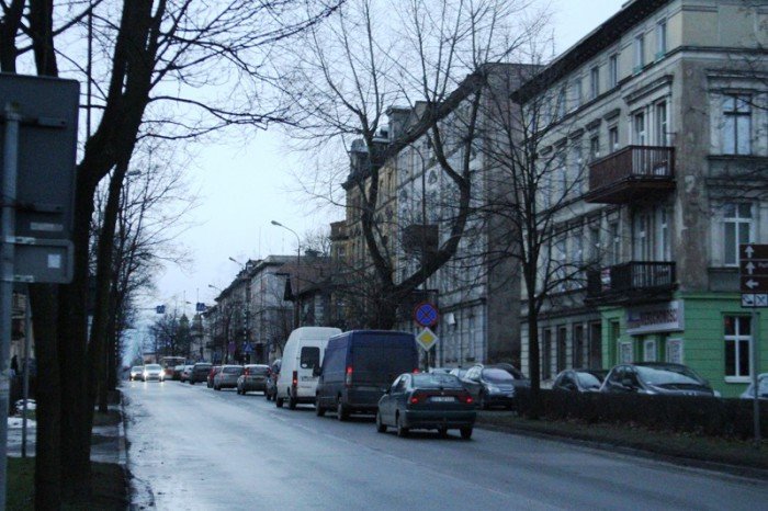 z-kaktusem-do-prezydenta-po-zmiany-na-alei-foto-50586