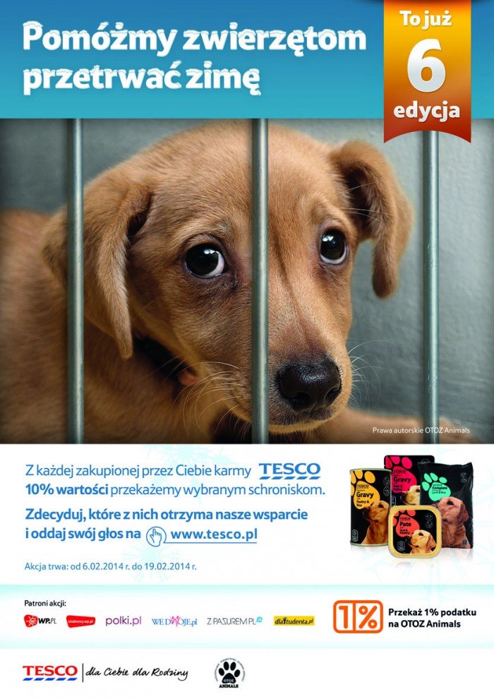 pomoz-zwierzetom-przetrwac-zime-z-animals-i-tesco-foto-50629