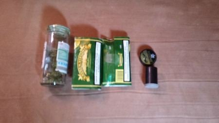 uprawa-konopi-indyjskich-zlikwidowana-foto-50645