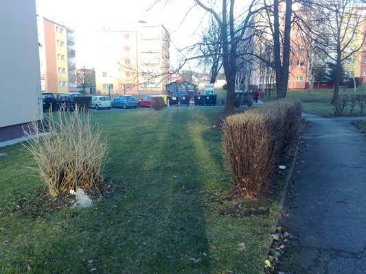 problem-ze-smietnikami-w-cieplicach-foto-50657