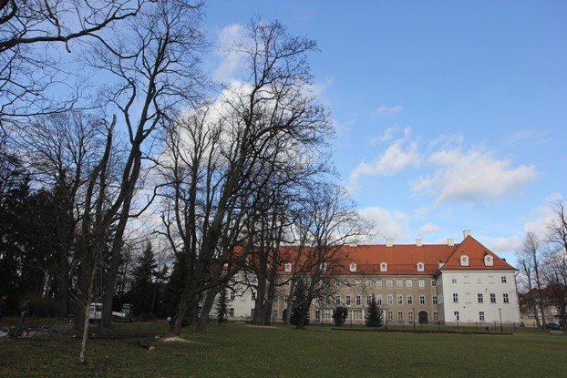 znikaja-drzewa-z-parku-zdrojowego-foto-50723