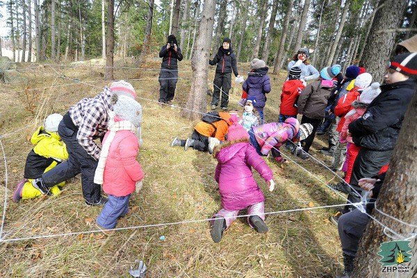 dolnoslaskie-zuchy-rywalizoway-w-sosnowce-foto-50727