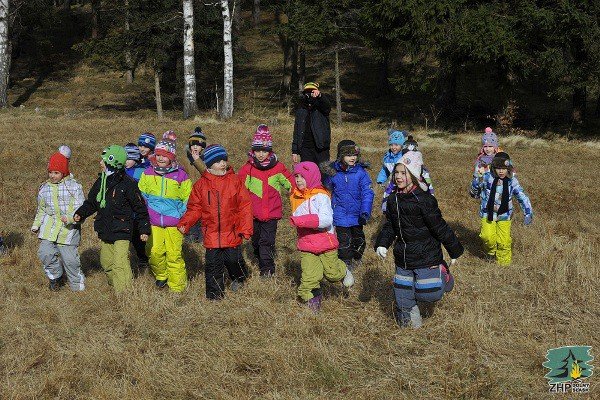 dolnoslaskie-zuchy-rywalizoway-w-sosnowce-foto-50727