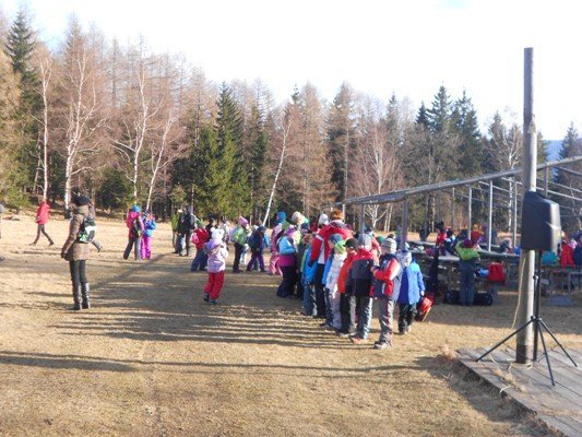 dolnoslaskie-zuchy-rywalizoway-w-sosnowce-foto-50727