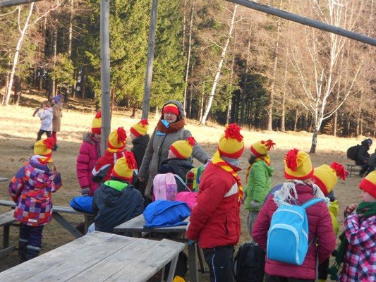 dolnoslaskie-zuchy-rywalizoway-w-sosnowce-foto-50727