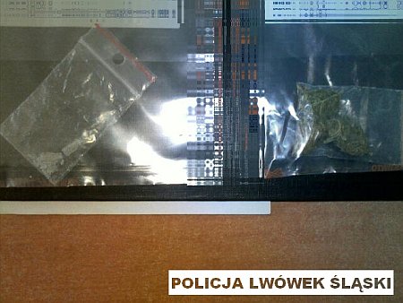 przestepstwa-narkotykowe-pod-lupa-policji-foto-50764
