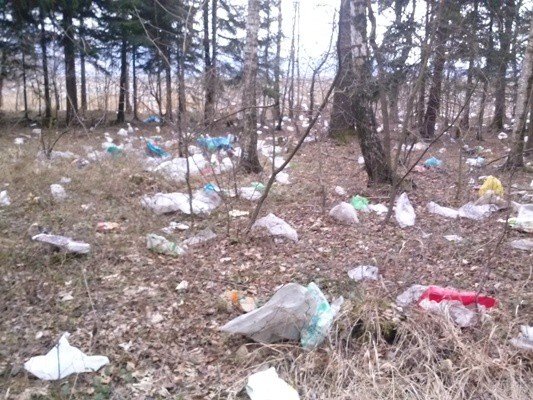 te-smieci-przyfruney-do-lasu-z-kostrzycy-foto-50844