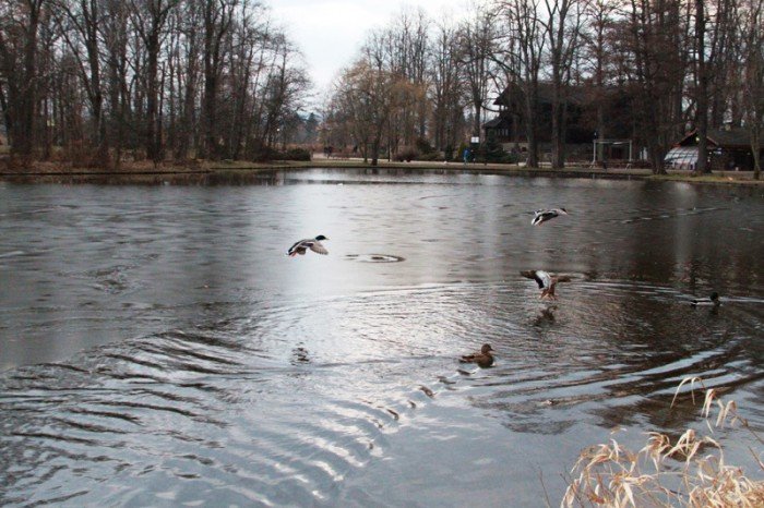 park-norweski-po-rewitalizacji-wypieknia-ale-foto-50883