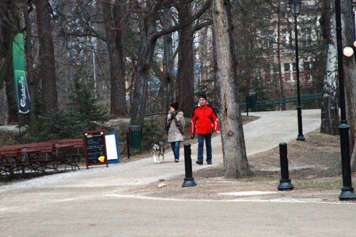 park-norweski-po-rewitalizacji-wypieknia-ale-foto-50883