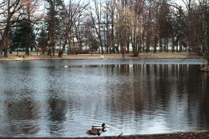 park-norweski-po-rewitalizacji-wypieknia-ale-foto-50883