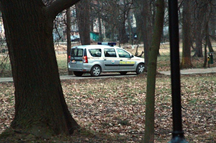 park-norweski-po-rewitalizacji-wypieknia-ale-foto-50883