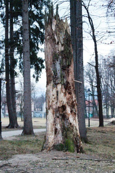 park-norweski-po-rewitalizacji-wypieknia-ale-foto-50883